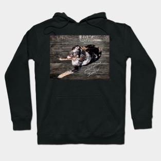 Australian Shepherd Hoodie